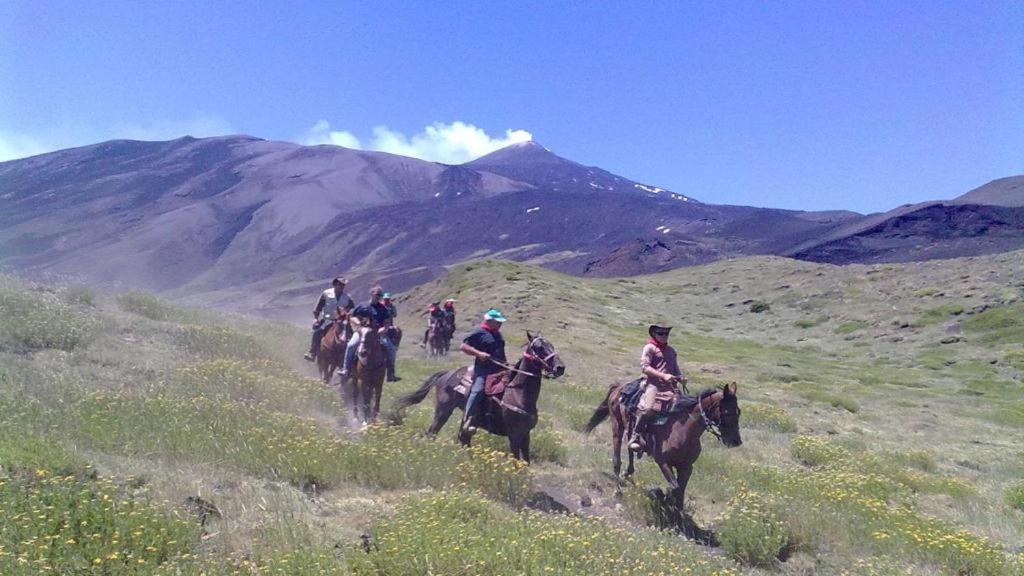 Willa Etnasentieri Wine House On Etna Mount Belpasso Zewnętrze zdjęcie