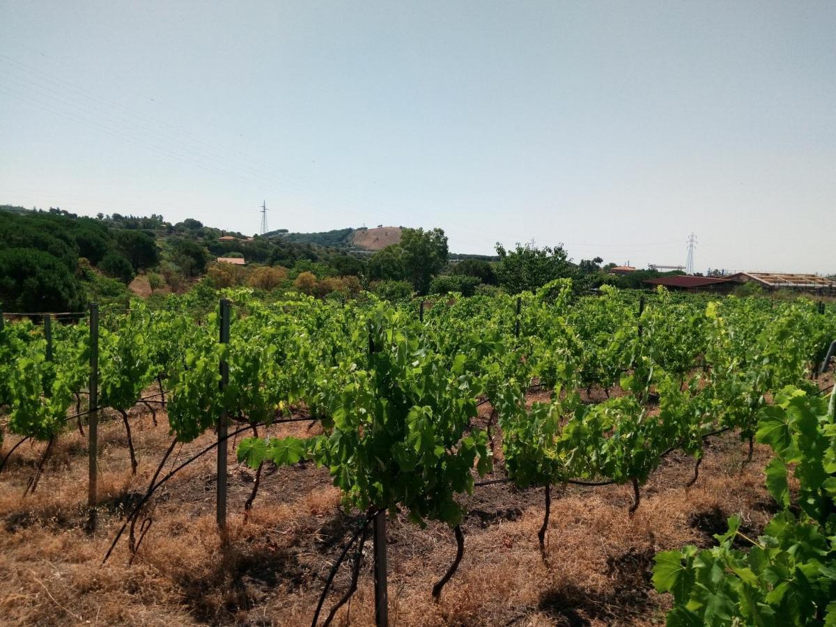 Willa Etnasentieri Wine House On Etna Mount Belpasso Zewnętrze zdjęcie