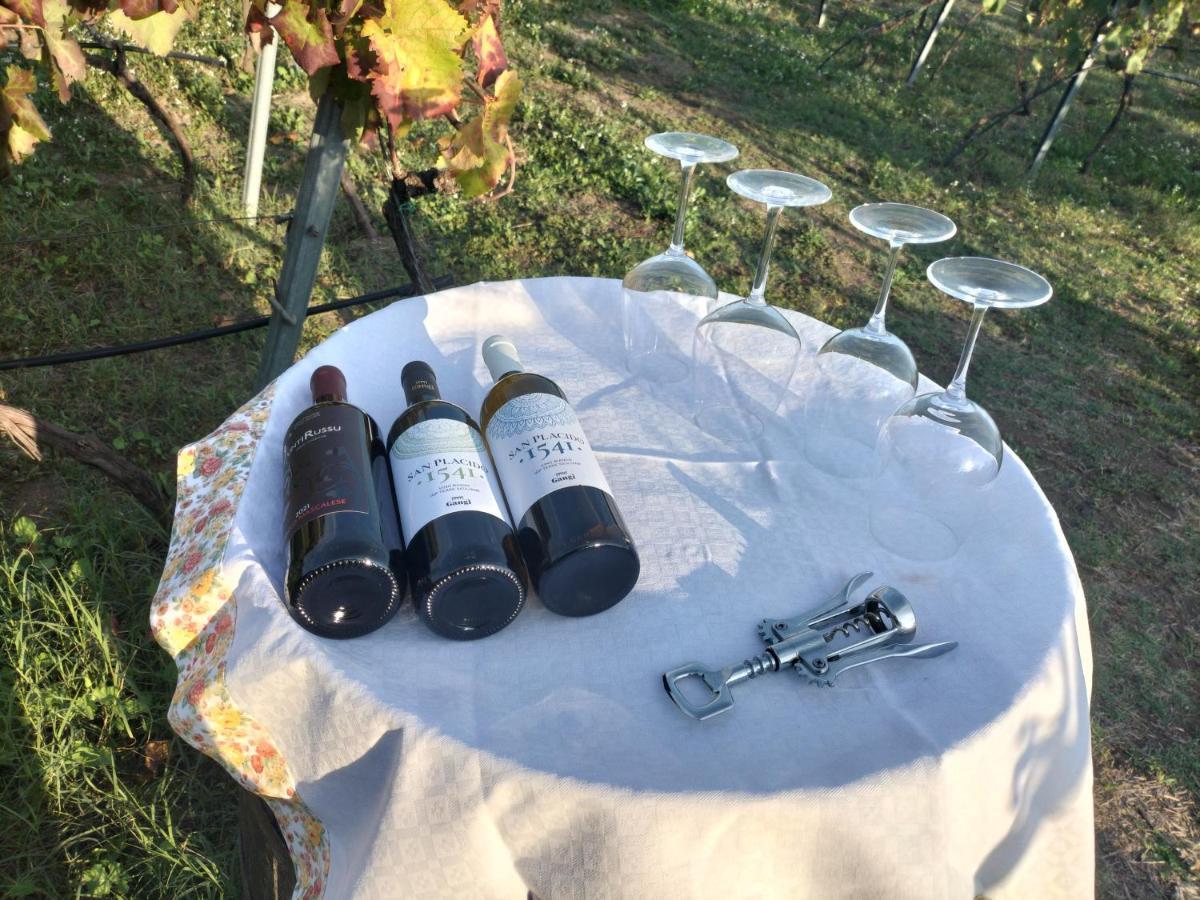 Willa Etnasentieri Wine House On Etna Mount Belpasso Zewnętrze zdjęcie