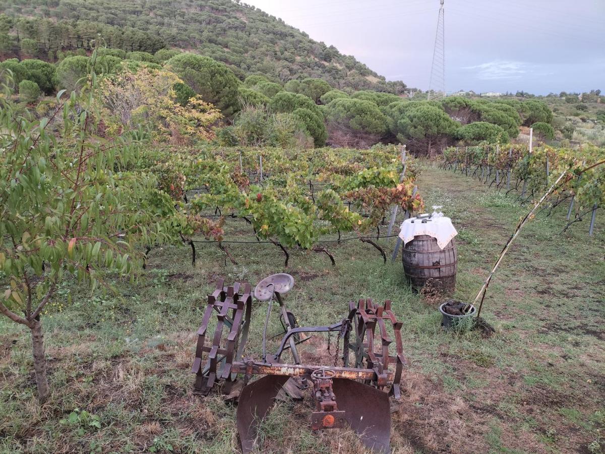 Willa Etnasentieri Wine House On Etna Mount Belpasso Zewnętrze zdjęcie